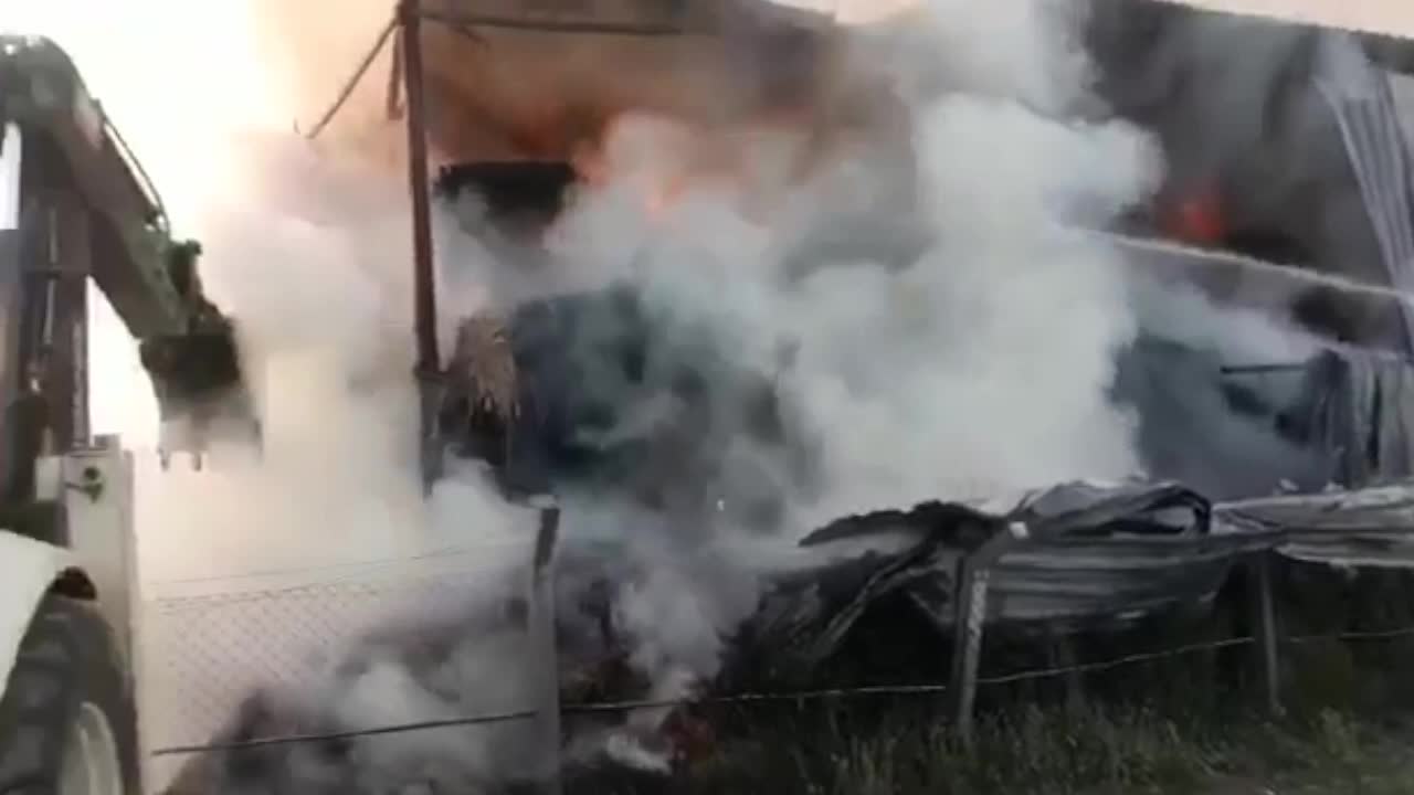 SAMAN DEPOSUNDA 700 TON YEM KÜL OLDU