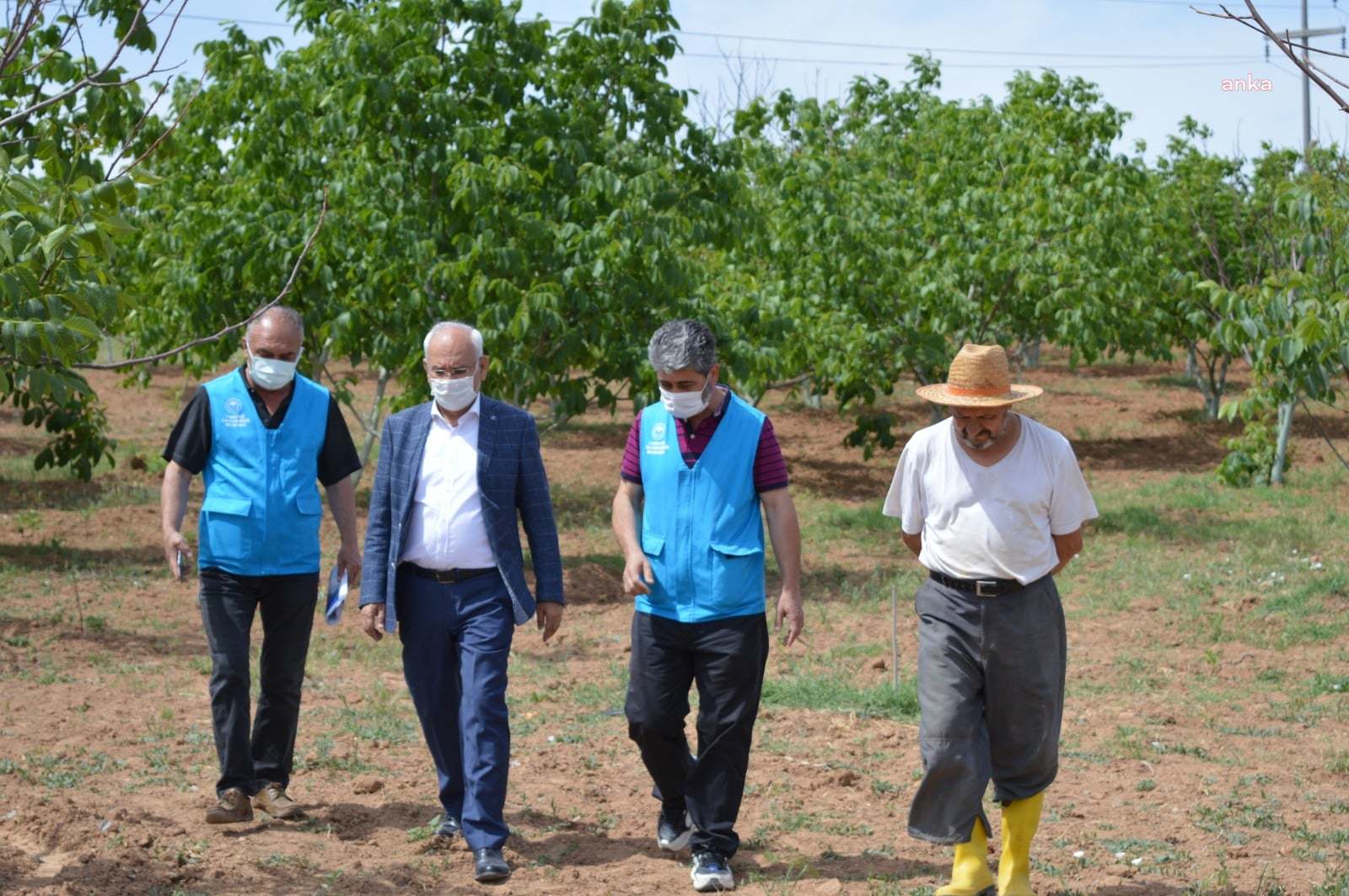 BAKAN KOCA YENİ VAKA HARİTASINI PAYLAŞTI: İSTANBUL, ANKARA VE İZMİR'DE DÜŞÜŞ VAR