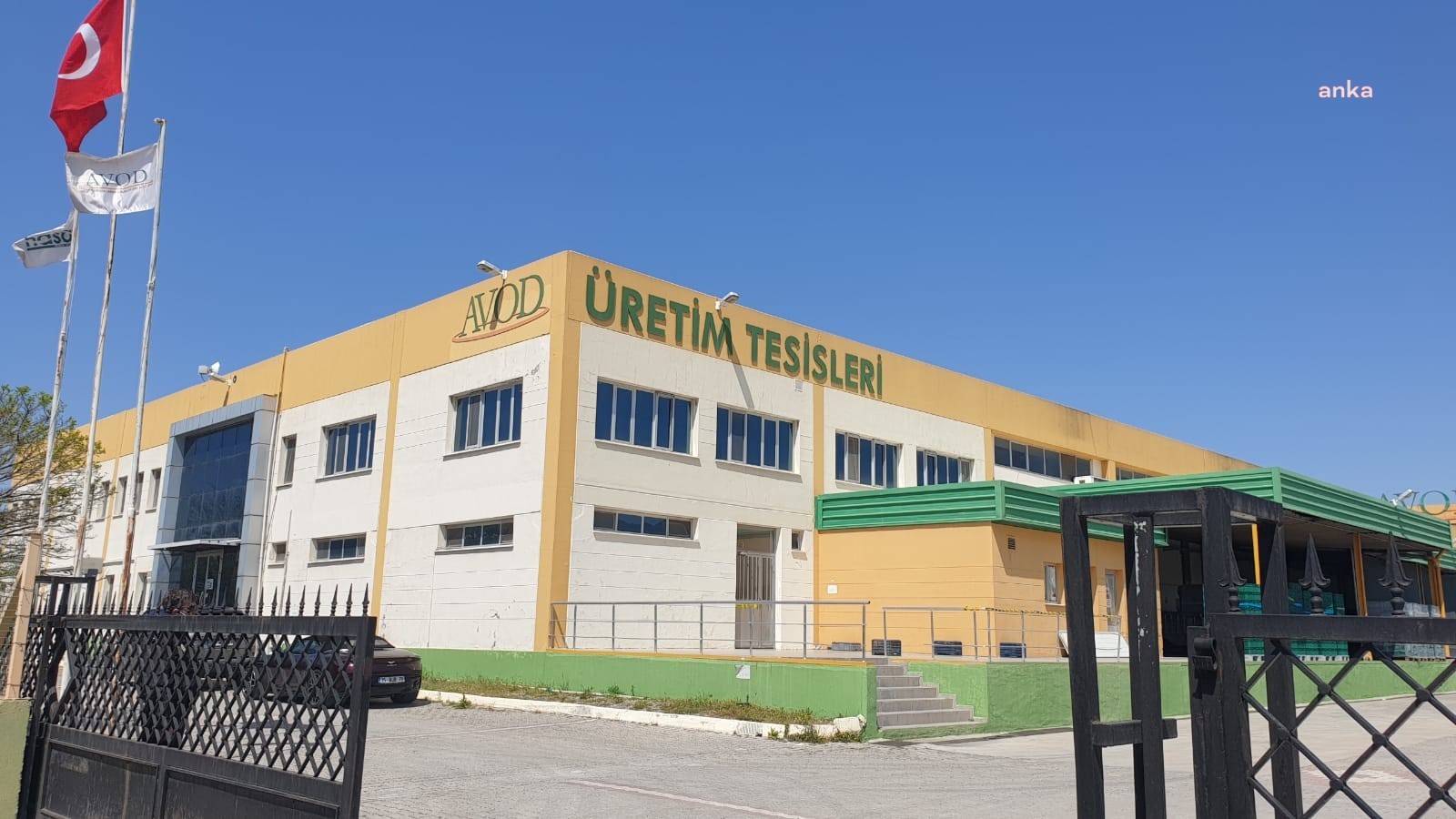 16 MİLYAR DOLARLIK VEGAN PAZARINA TÜRKLER DE GİRDİ