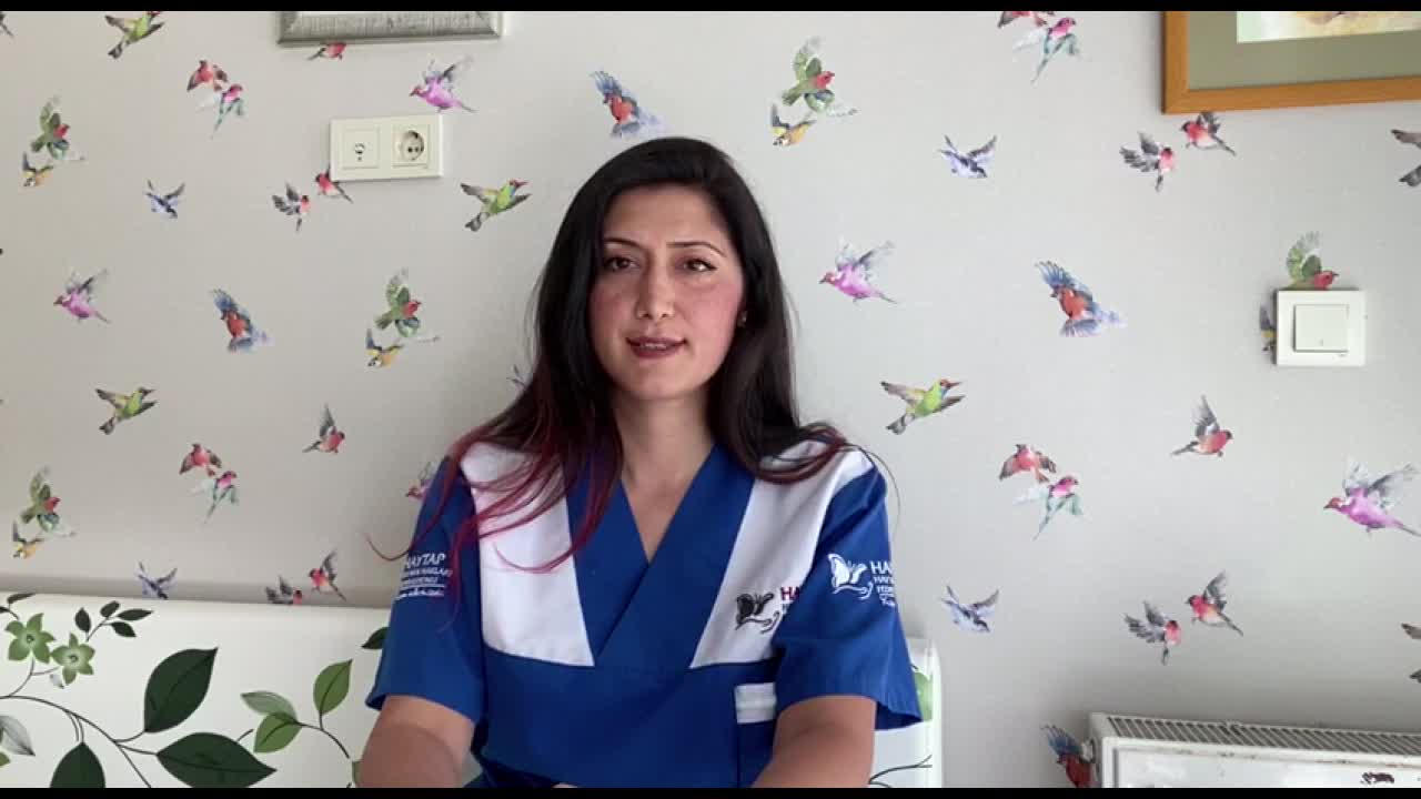 PATİLERİ KESİLEN, KÜREKLE ÖLDÜRÜLEN KEDİLER, HAYVAN SEVERLERİ İSYAN ETTİRDİ: HAYVANA İŞKENCENİN CEZASI, YASAK YERDE SİGARA İÇMEKLE AYNI