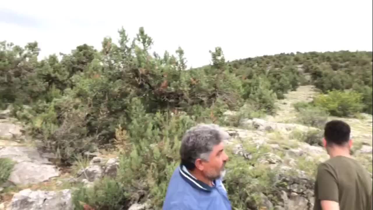 TOKAT'TA ARDIÇ AĞAÇLARIYLA KAPLI MERAYA MERMER OCAĞI İDDİASI: "KAZDAĞLARI, İKİZDERE'DE OLDUĞU GİBİ BURAYA DA GÖZ DİKMİŞLER"