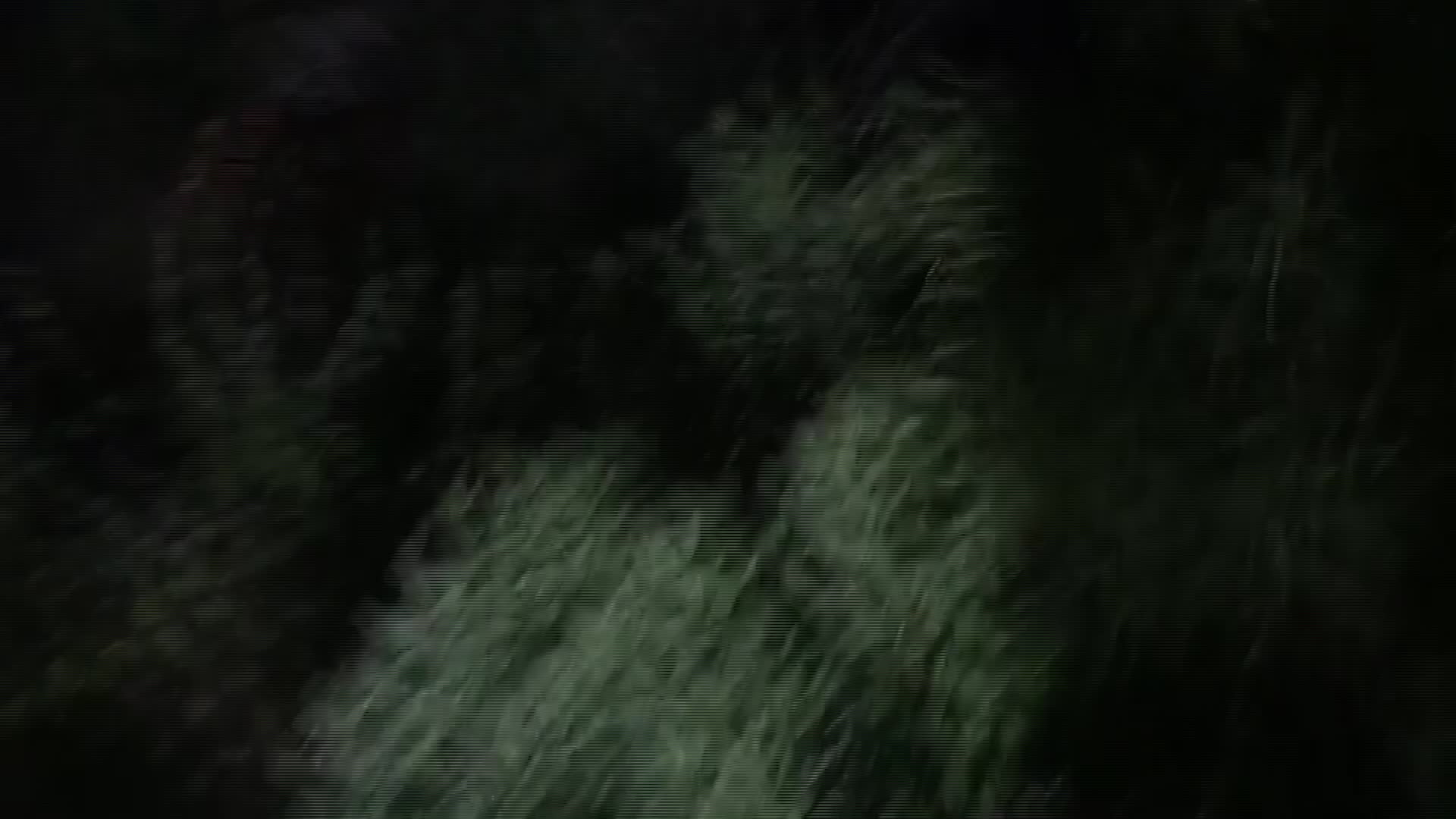 MUĞLA’DA KAYALIKLARDAN DÜŞEN KİŞİ KURTARILDI