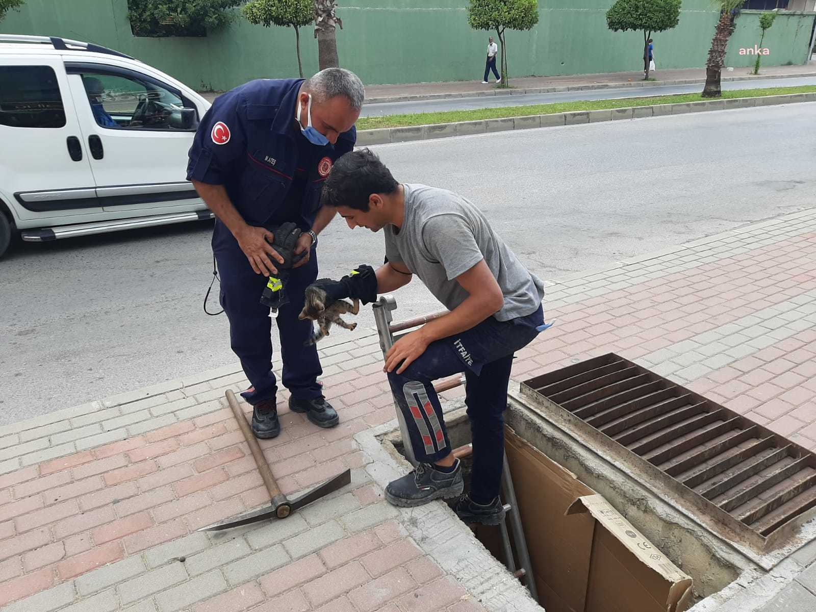 RÖGARA DÜŞEN KEDİ YAVRUSUNU İTFAİYE KURTARDI