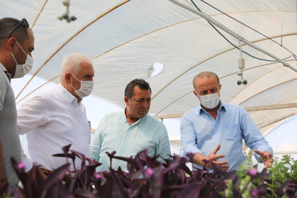 CHP'Lİ MİLLETVEKİLLERİNDEN DİDİM BELEDİYESİ SERASINA ZİYARET
