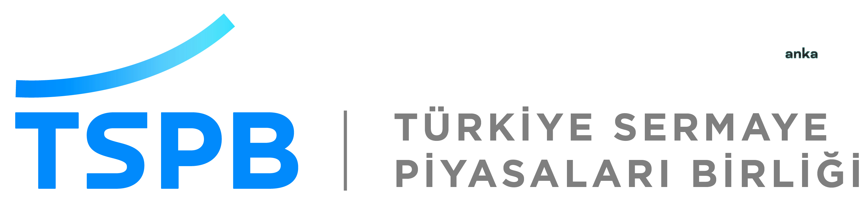 BORSA İSTANBUL 2020 YILINDA DÜNYANIN EN LİKİT PİYASASI OLDU