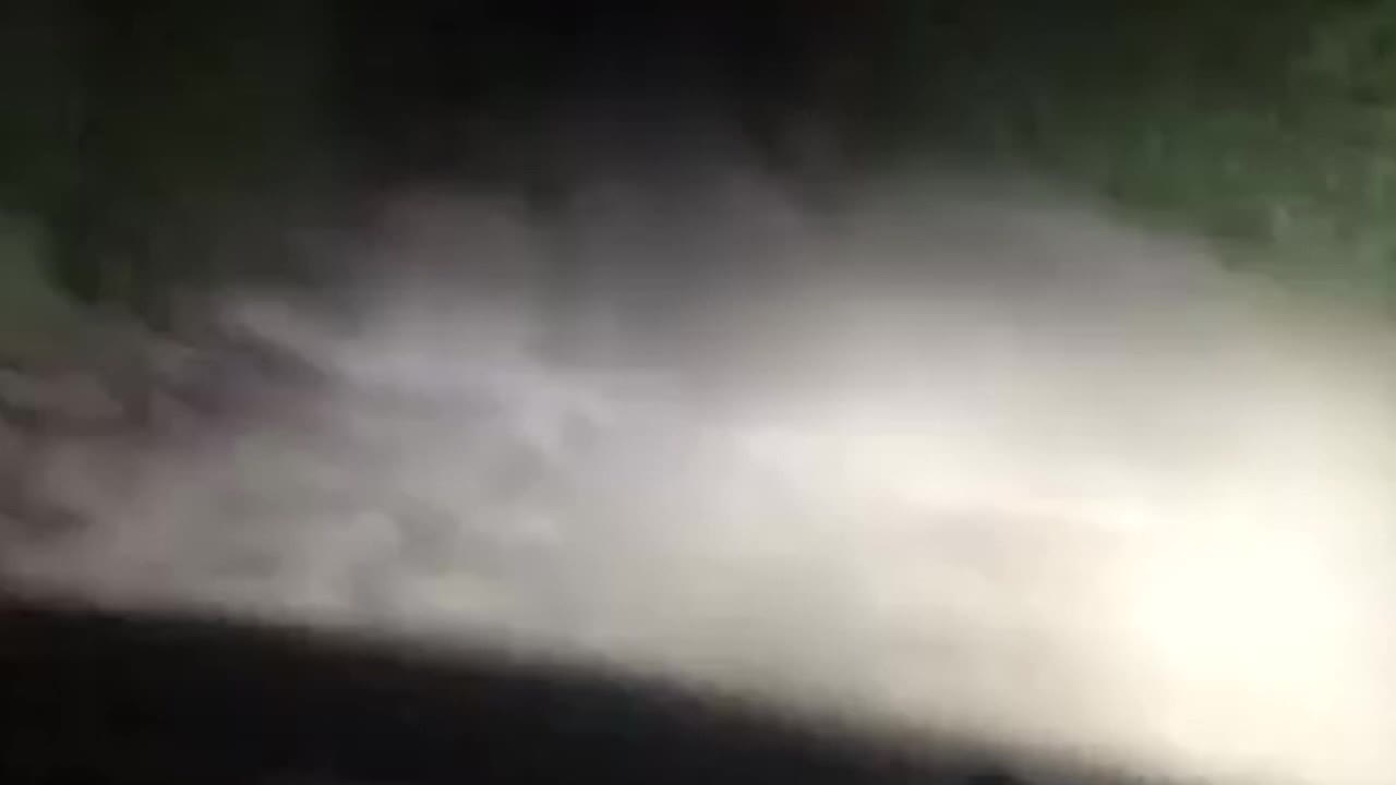 GİRESUN’DA AYI YAVRUSU MAHALLEYE İNDİ