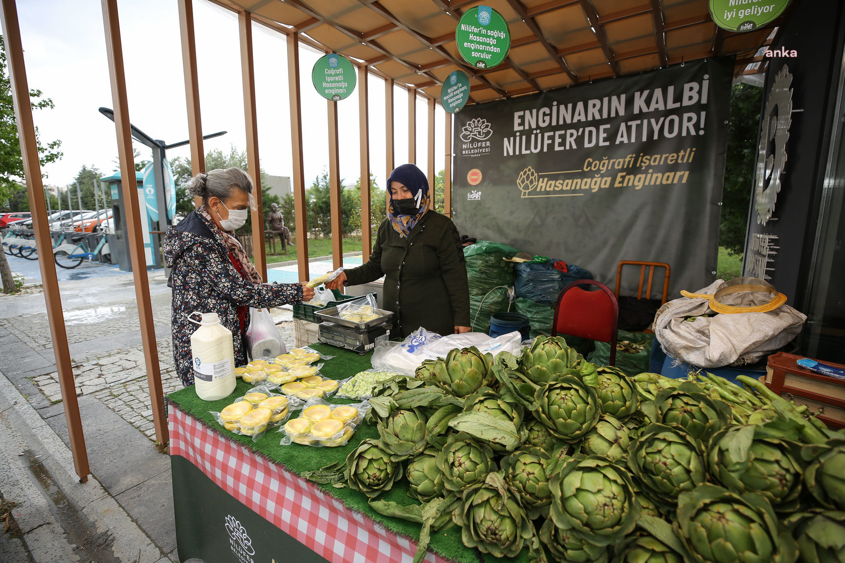HASANAĞA ENGİNARINA ULAŞMAK ARTIK ÇOK KOLAY