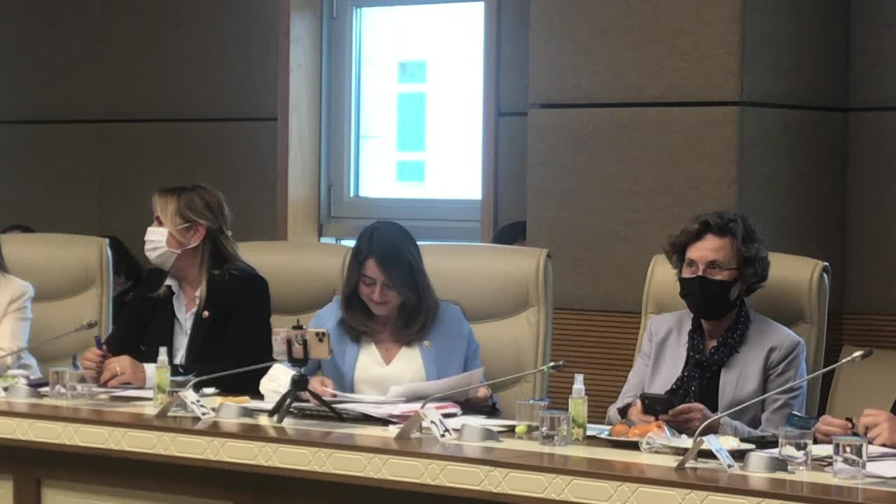 CHP’Lİ BANKOĞLU YÖK BAŞKANI SARAÇ’A SORDU: ‘TOPLUMSAL CİNSİYET EŞİTLİĞİ’ KAVRAMI SİZİ NEDEN RAHATSIZ ETTİ"