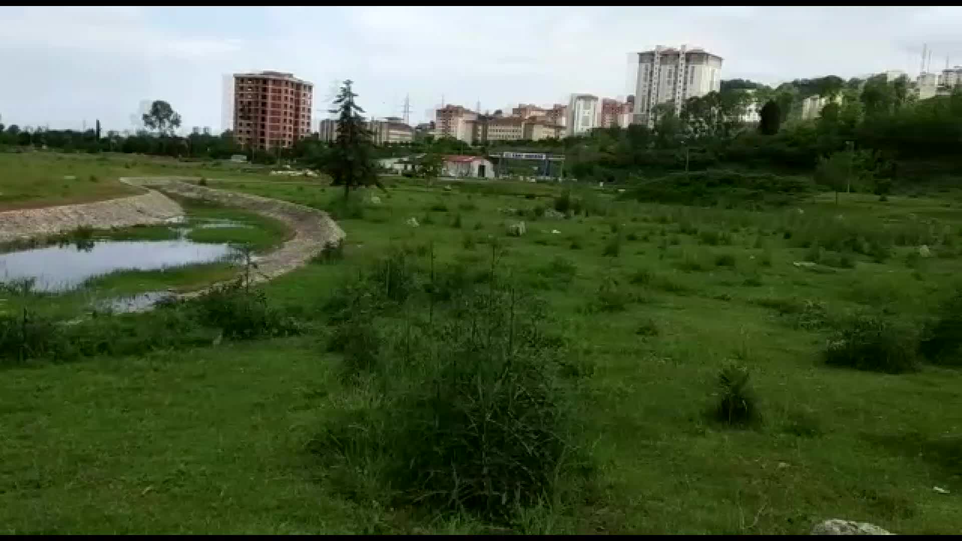 ORDU'DA 15 MİLYON TL'YE MÂL OLAN BOTANİK PARK, OTLAK OLDU: "MİLLET BAHÇESİ DİYE ÖVÜNÜYORLAR, İŞTE SİZE ALAN"