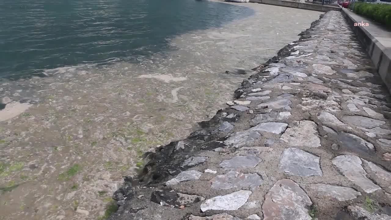 TBMM'DE BU HAFTA MÜSİLAJ ARAŞTIRMA KOMİSYONU KURULMASI BEKLENİYOR