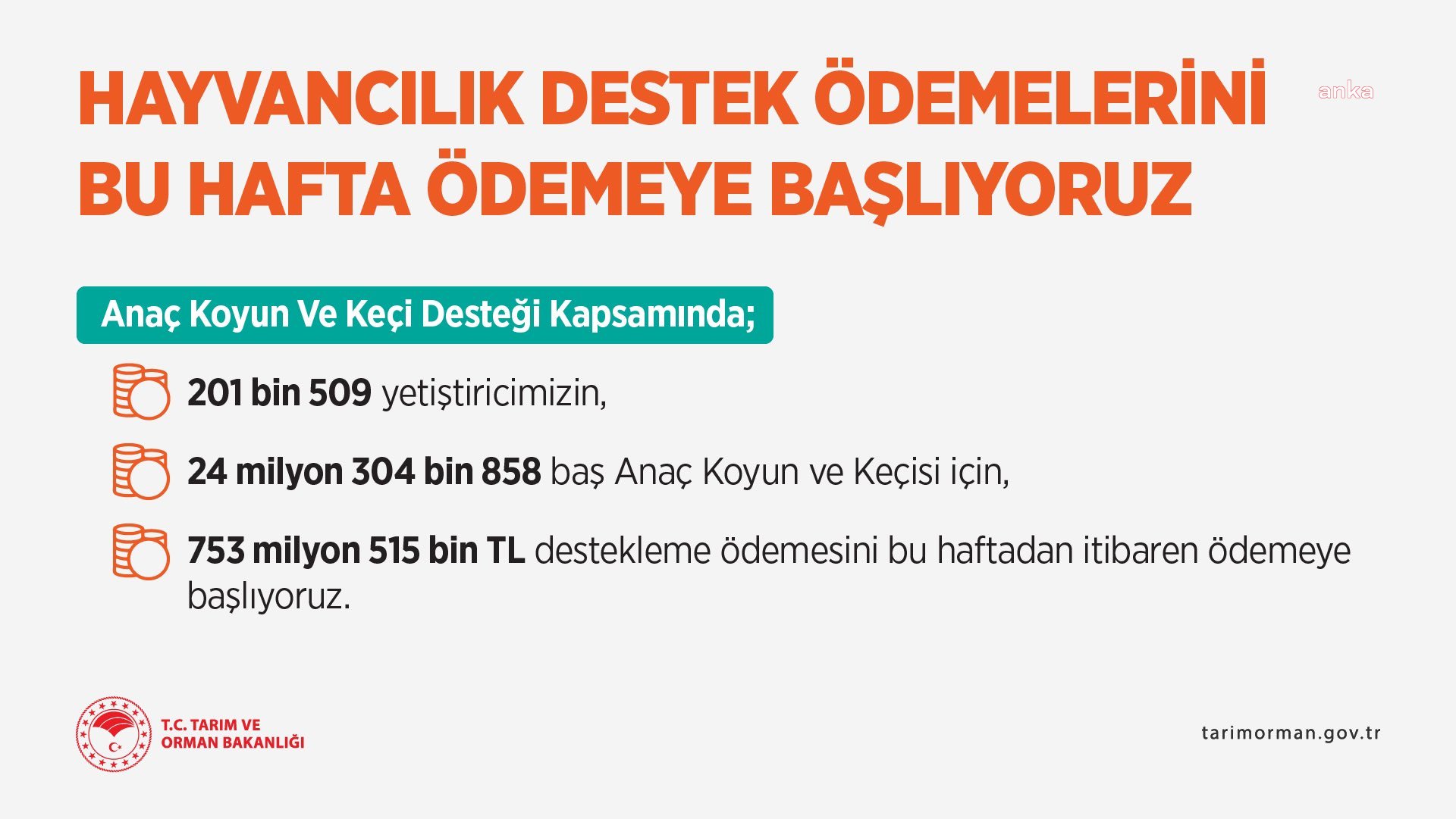 MÜSİLAJDAN ETKİLENEN BALIKÇILARA DESTEK ÖDEMESİ YAPILACAK