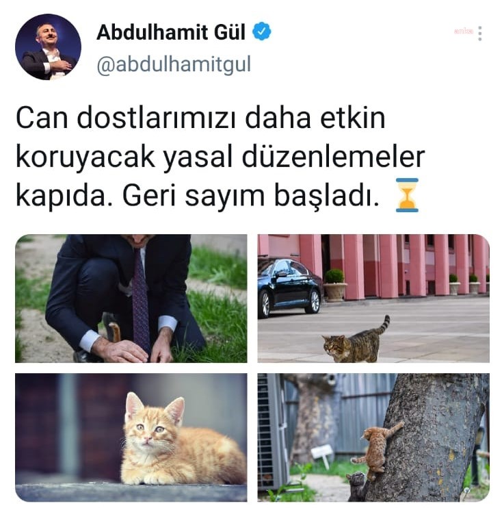 ADALET BAKANI GÜL’DEN HAYVAN HAKLARI PAYLAŞIMI: "GERİ SAYIM BAŞLADI"