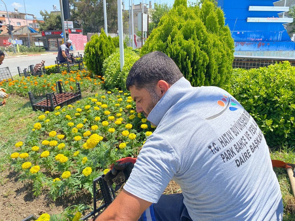 BÜYÜKŞEHİR BELEDİYESİ, DAHA YEŞİL BİR HATAY İÇİN ÇALIŞIYOR