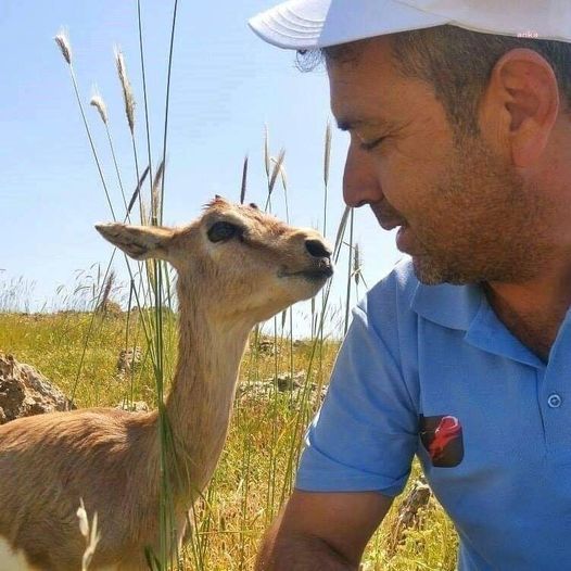 KARARNAME İLE YAŞAM ALANLARI DARALTILAN DAĞ CEYLANLARI İÇİN İMZA KAMPANYASI BAŞLATILDI