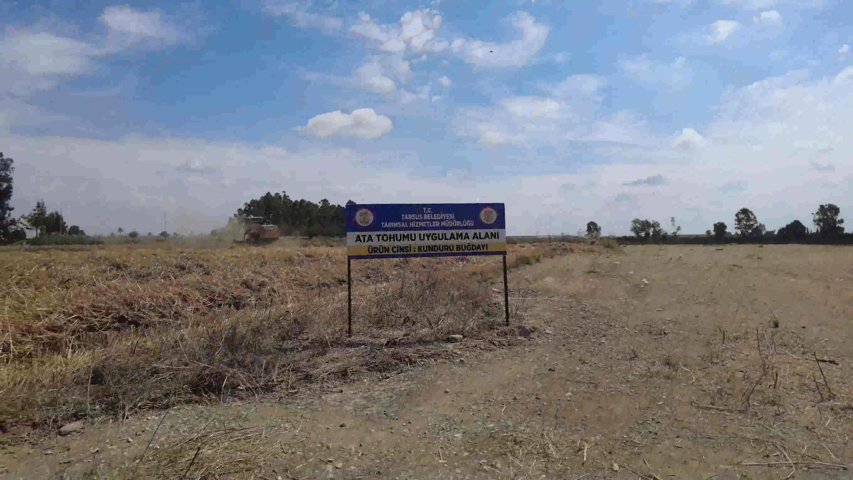 TARSUS BELEDİYESİ’NDE HASAT ŞENLİĞİ DEVAM EDİYOR