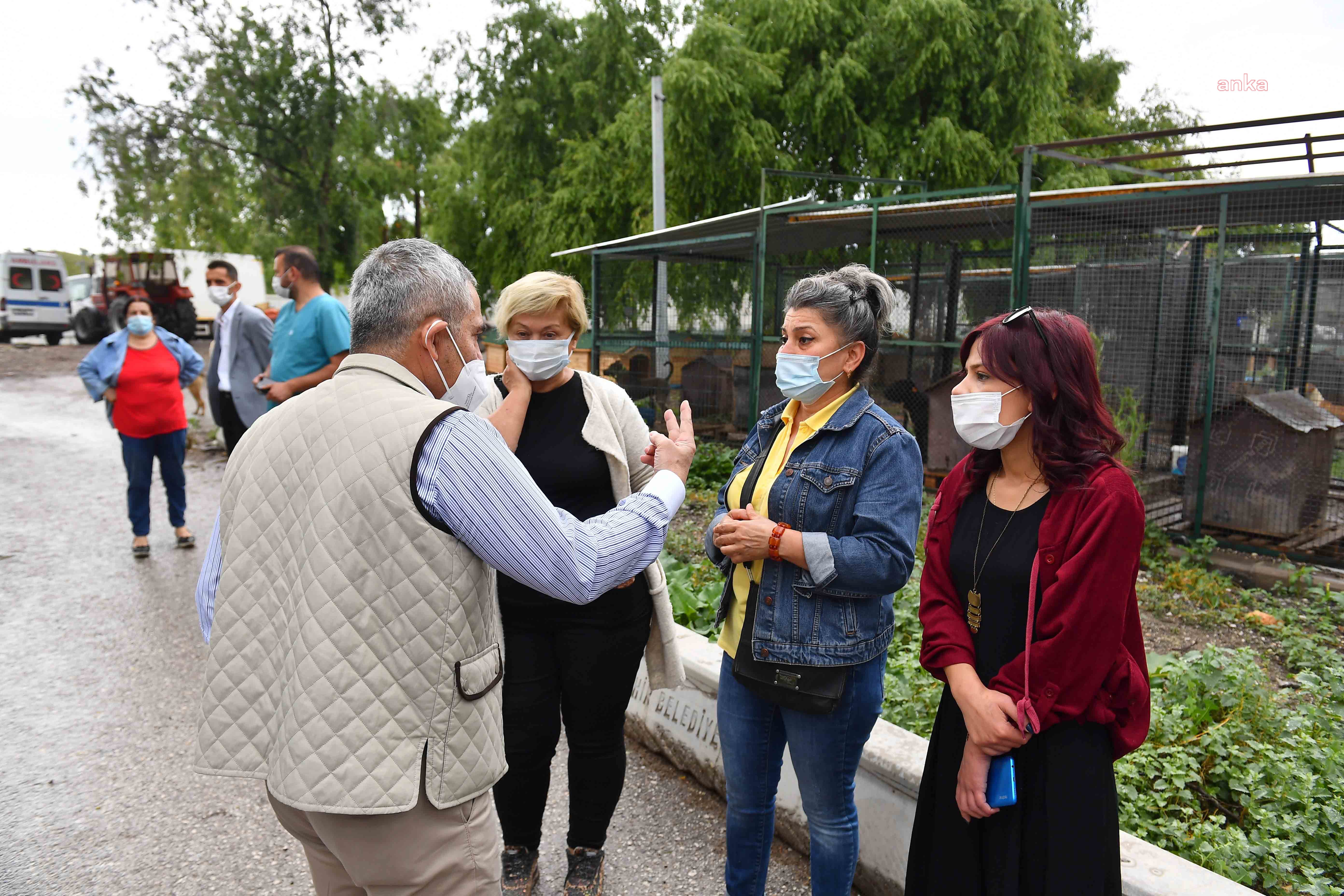 ANKARA BÜYÜKŞEHİR VE GÖNÜLLÜLER, SOKAK HAYVANLARI İÇİN EL ELE