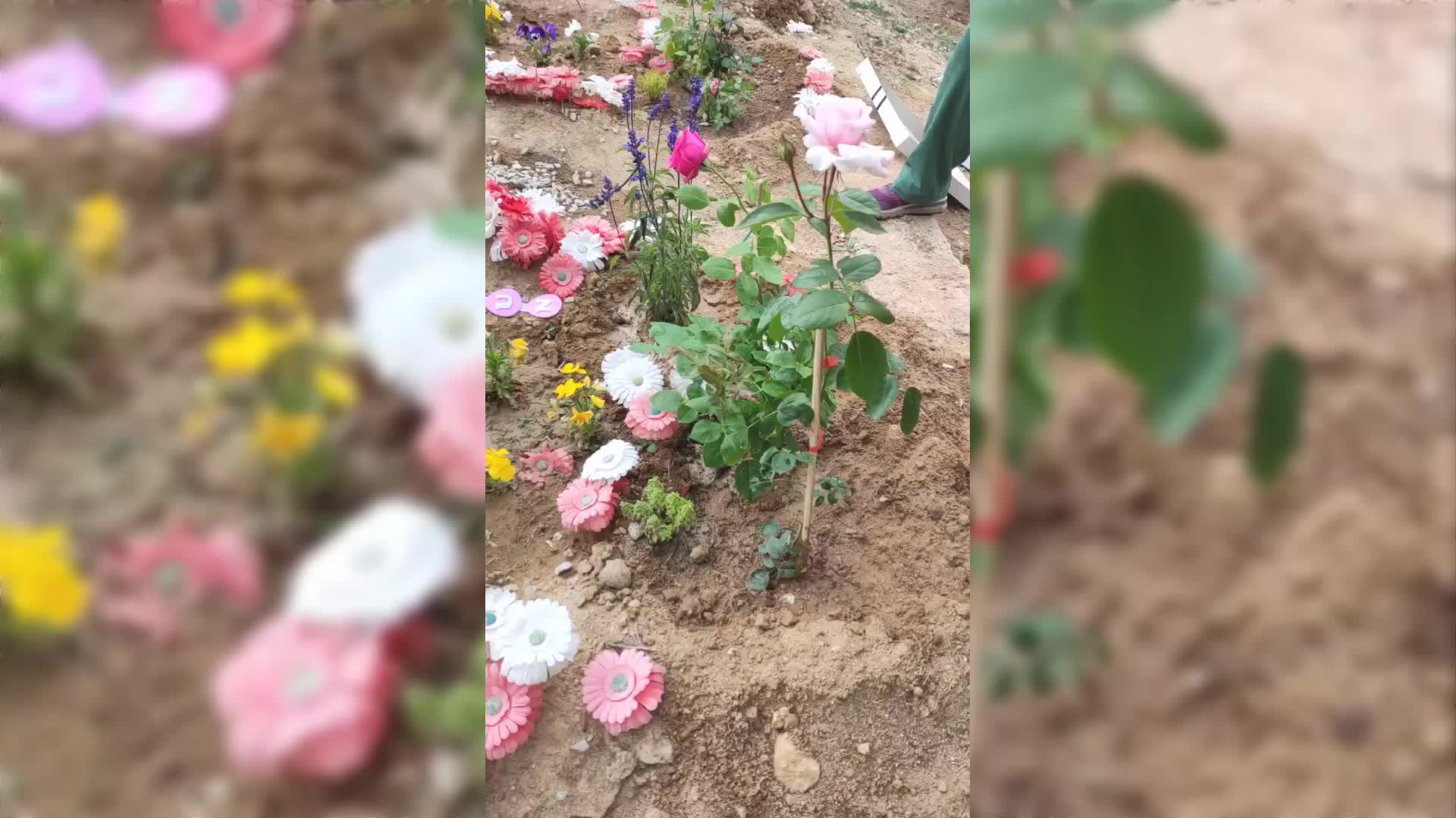EN ACI DOĞUM GÜNÜ PASTASI!
