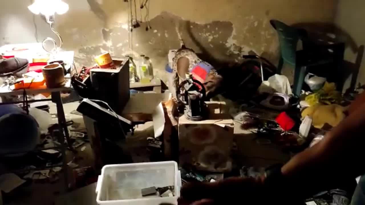 İZMİR'DE UYUŞTURUCU OPERASYONU: ORMANLIK ALANDA KENEVİR TARLASI ORTAYA ÇIKTI