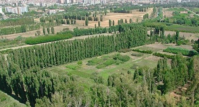 AOÇ'UN, ÖZEL KUVVETLER KOMUTANLIĞI İÇİN YAPILAŞMAYA AÇILMASINA MAHKEME 'DUR' DEDİ