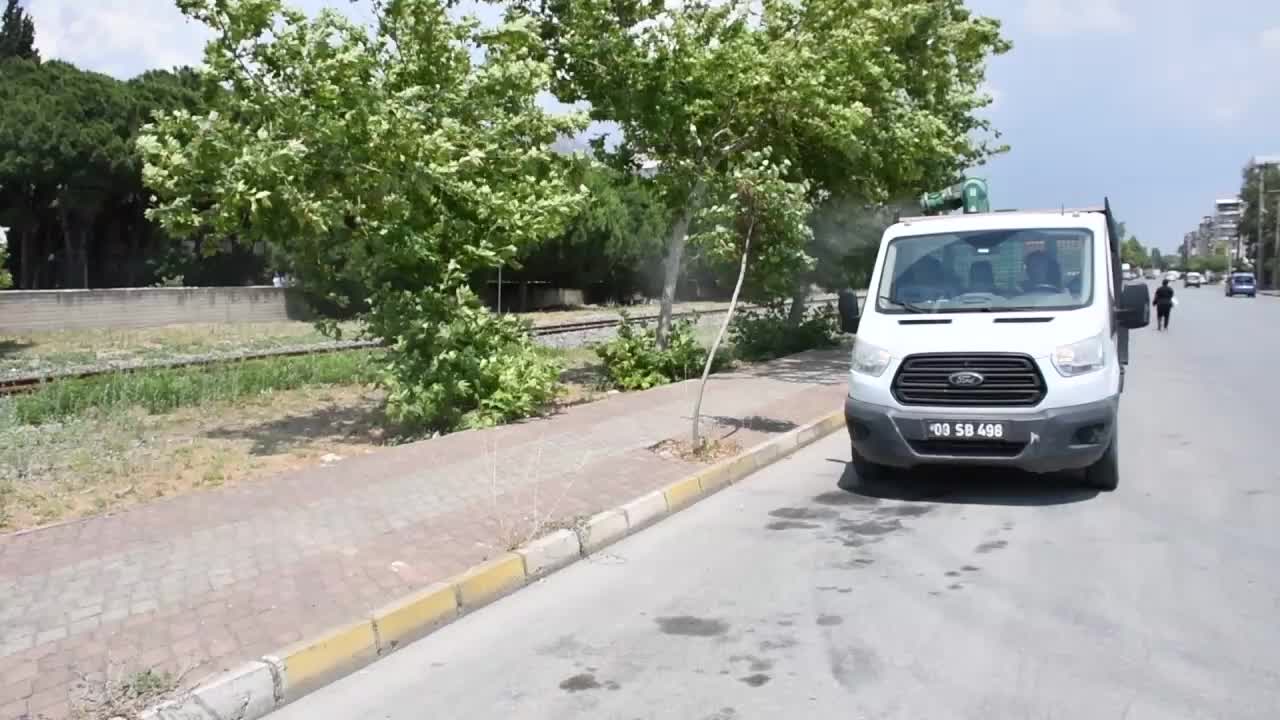 SÖKE BELEDİYESİ'NDEN SİVRİNEK VE UÇKUN MÜCADELESİ