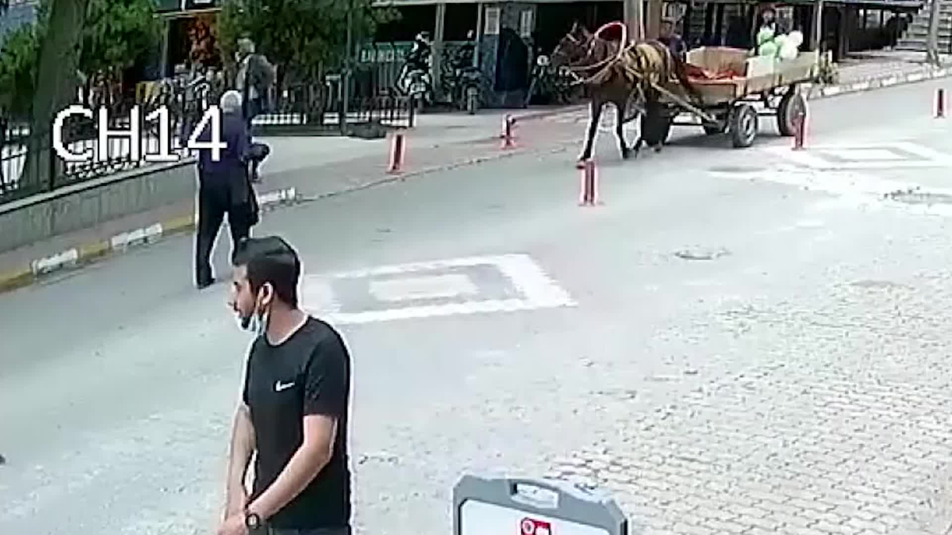 84 YAŞINDA ADAMIN ÜZERİNDEN AT ARABASI GEÇTİ