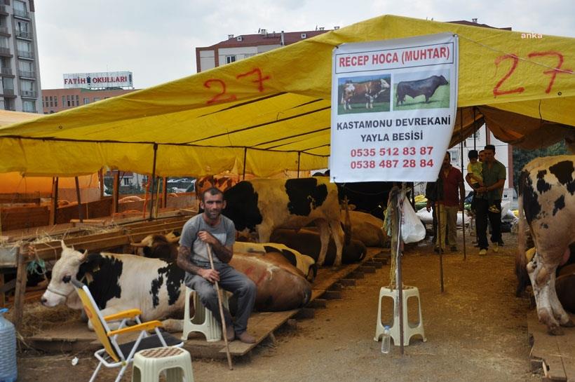KURBAN KESİM TEBLİĞİ YAYIMLANDI: BU YIL DA REZERVASYON SİSTEMİ UYGULANACAK