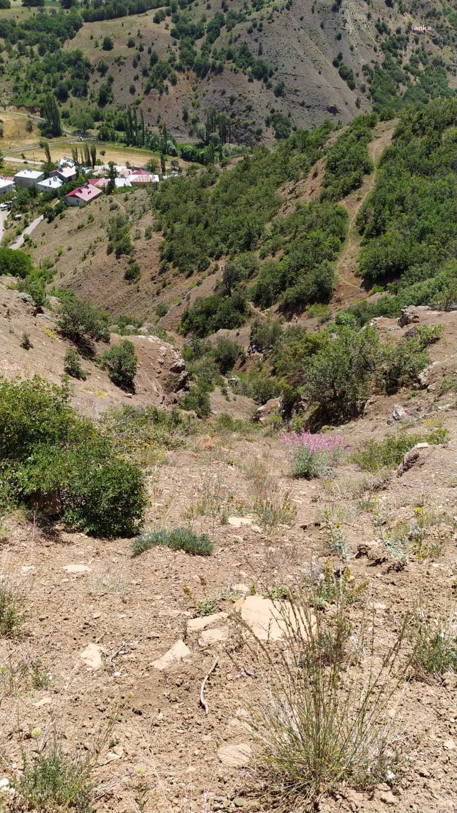 GİRESUN’DA ARAÇ UÇURUMA YUVARLANDI: 2 ÖLÜ