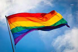 TİHV: 2020 YILINDA LGBTİ  GÖSTERİLERİNDE EN AZ 164 KİŞİ GÖZALTINA ALINDI