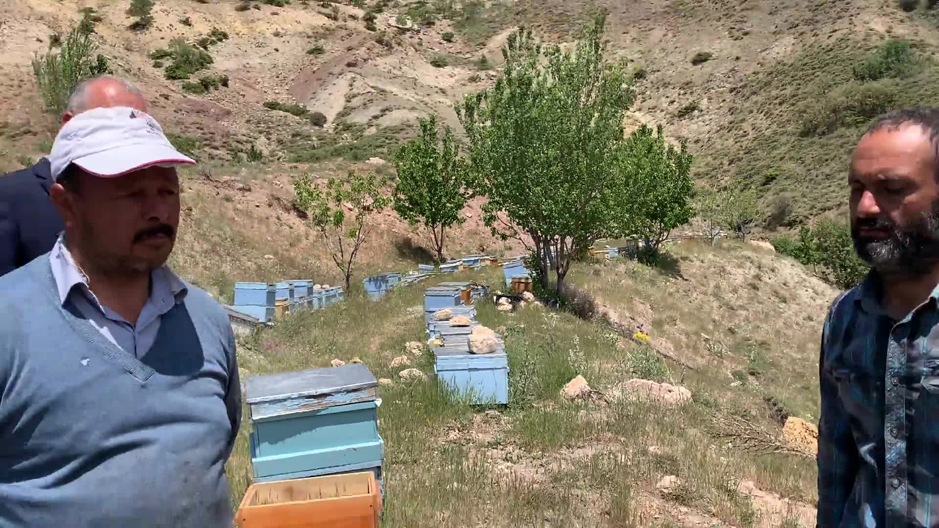 KURAKLIK ARICILARI DA VURDU: "POLEN MİKTARINDAKİ DÜŞÜKLÜK ARININ GELİŞMESİNİ ENGELLEDİ"