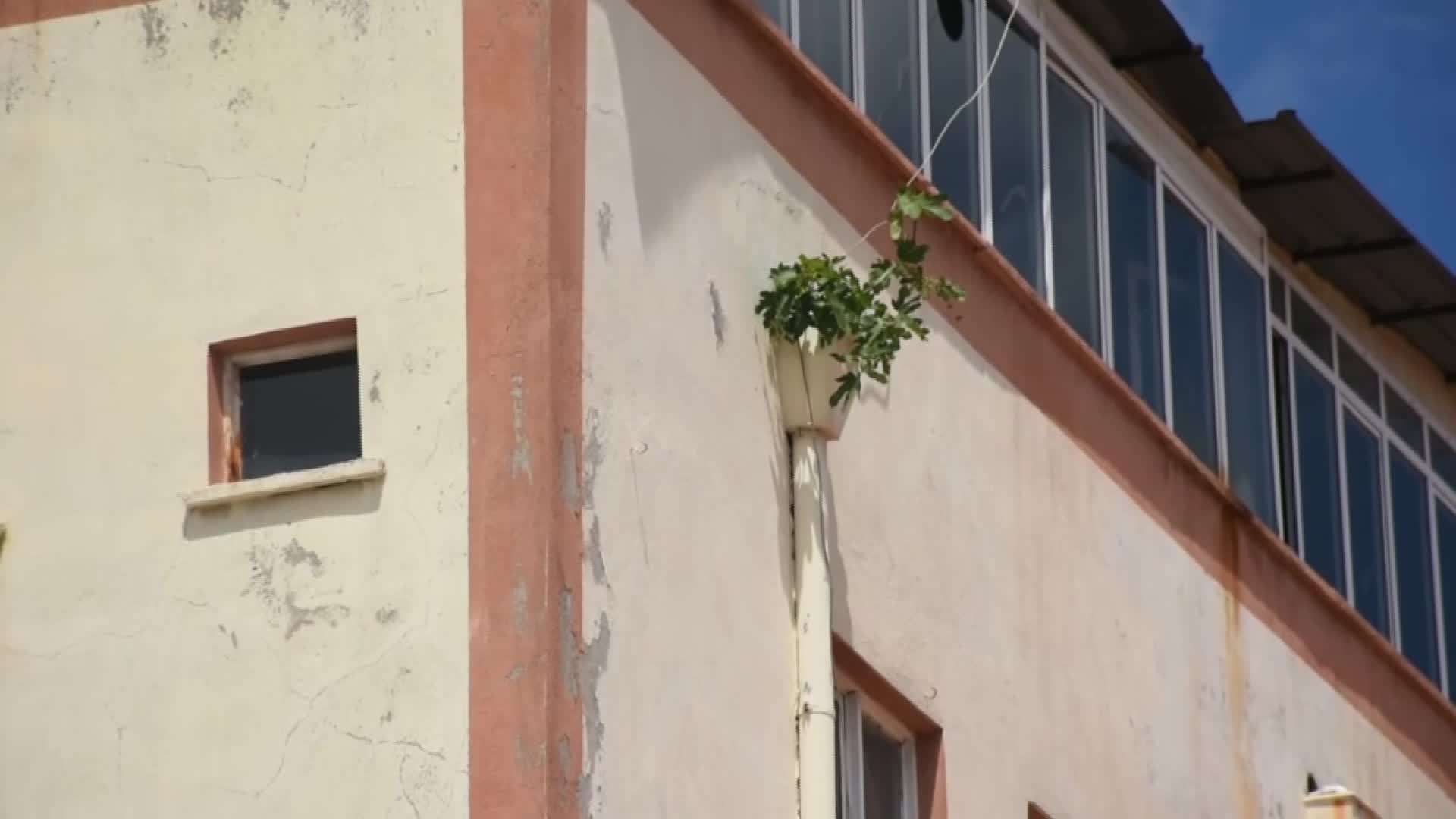 YAĞMUR OLUĞUNDA YEŞEREN HAYAT