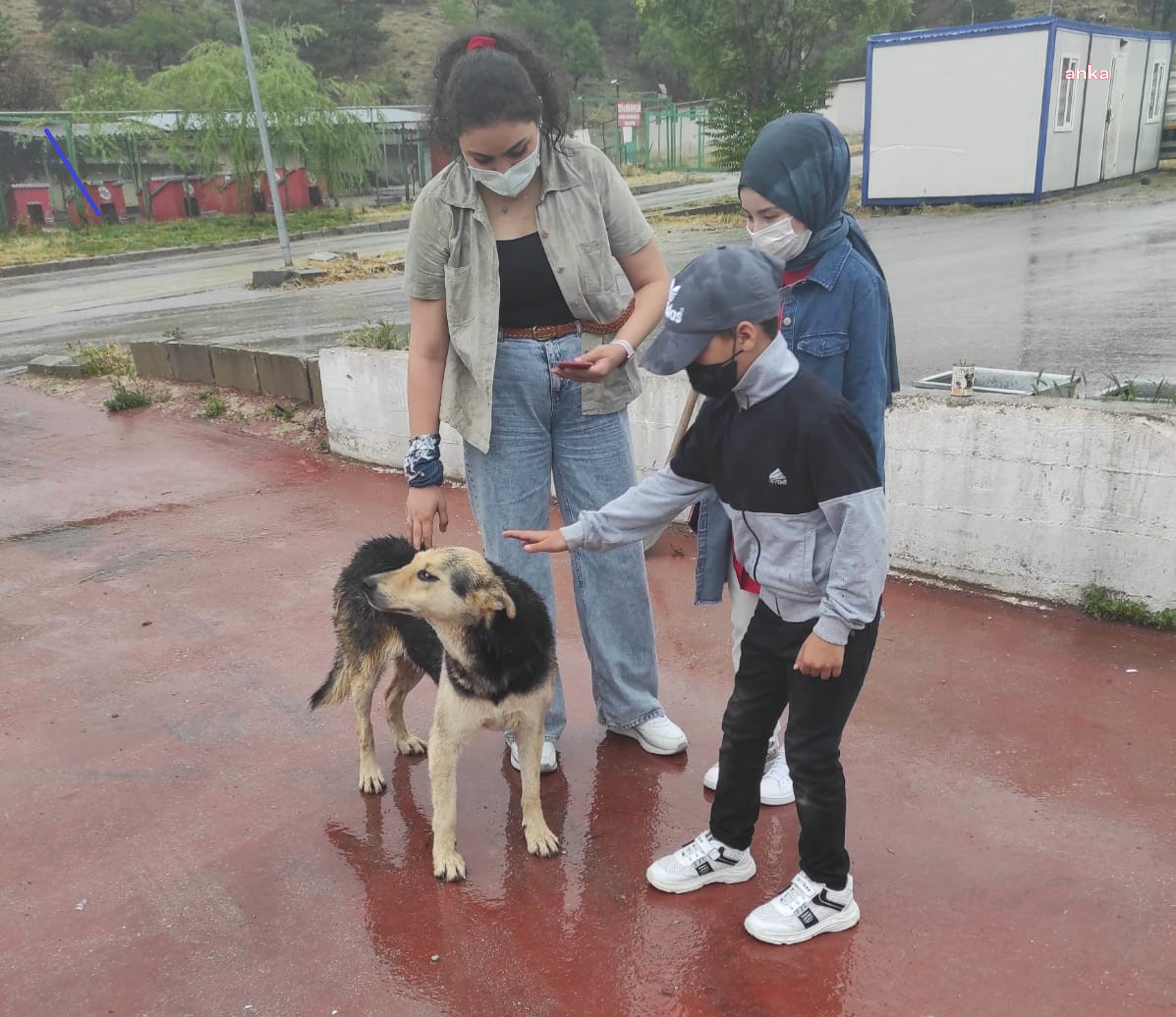 MÜLTECİ ÇOCUKLARDAN BARINAK ZİYARETİ