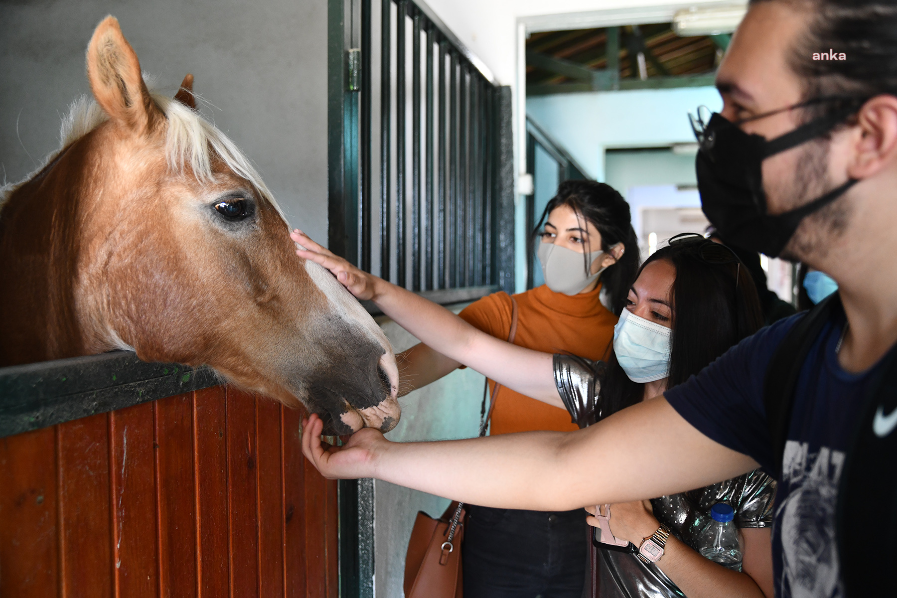 AIESEC GÖNÜLLÜLERİ TEPEBAŞI’NDA