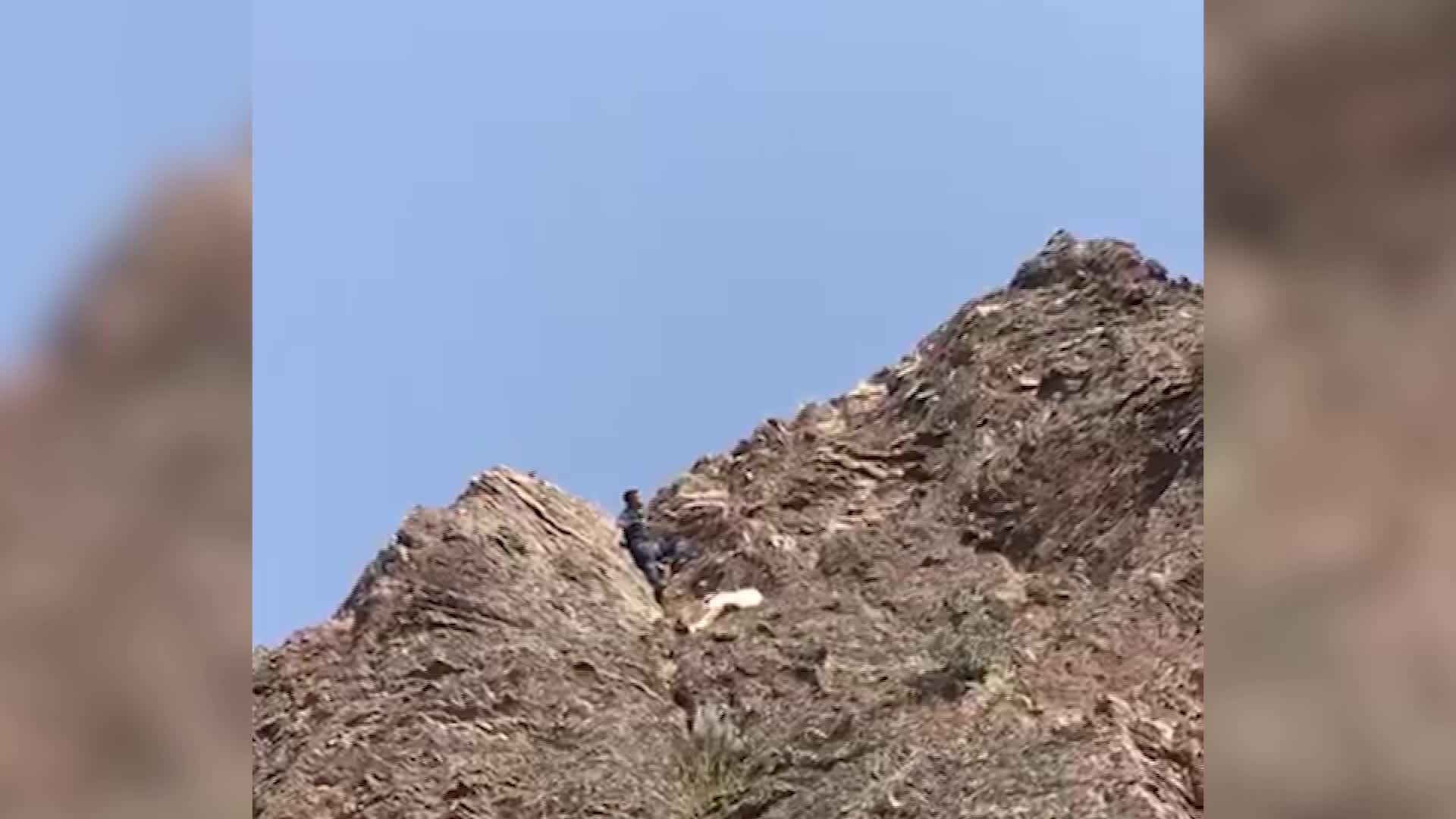 KAYALIKLARDA MAHSUR KALAN KEÇİLERİ İTFAİYE KURTARDI