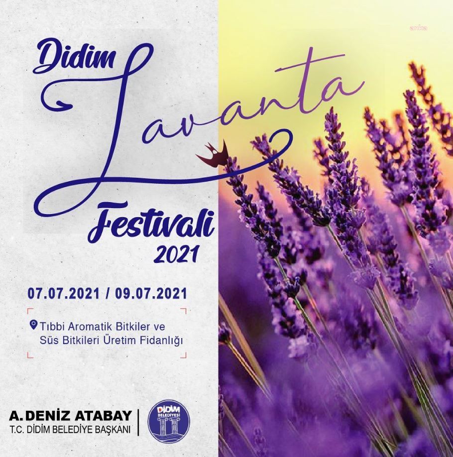 DİDİM LAVANTA FESTİVALİ İÇİN GERİ SAYIM BAŞLADI