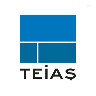ÖZELLEŞTİRME İDARESİ BAŞKANLIĞI: TEİAŞ'TAKİ ÇOĞUNLUK HİSSESİ KAMUDA KALACAK