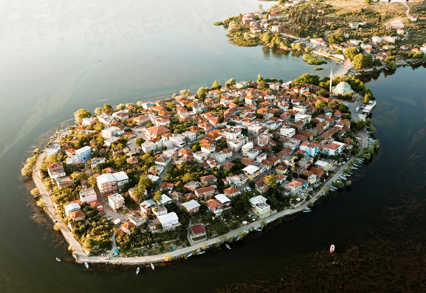 GÖLYAZI'DA ÇİÇEK ŞENLİĞİ BAŞLIYOR