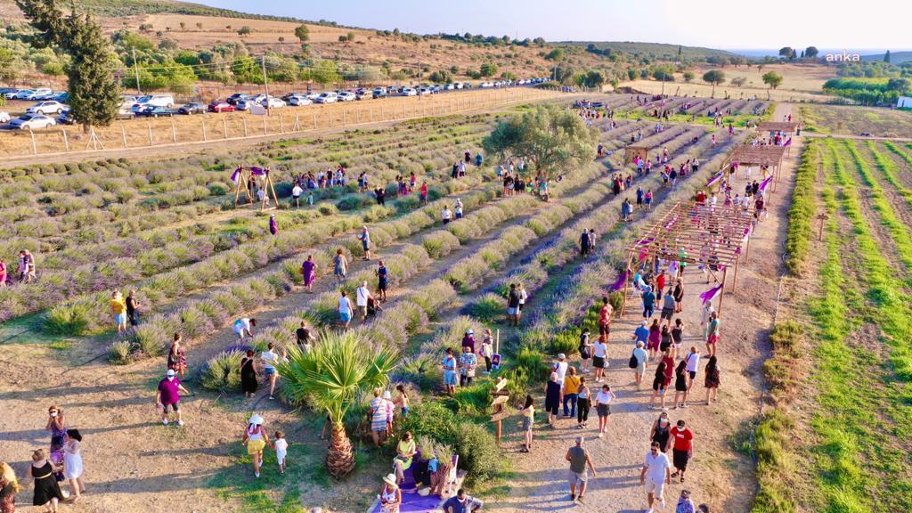 DİDİM’DE LAVANTA FESTİVALİ RENKLİ GÖRÜNTÜLERE SAHNE OLDU