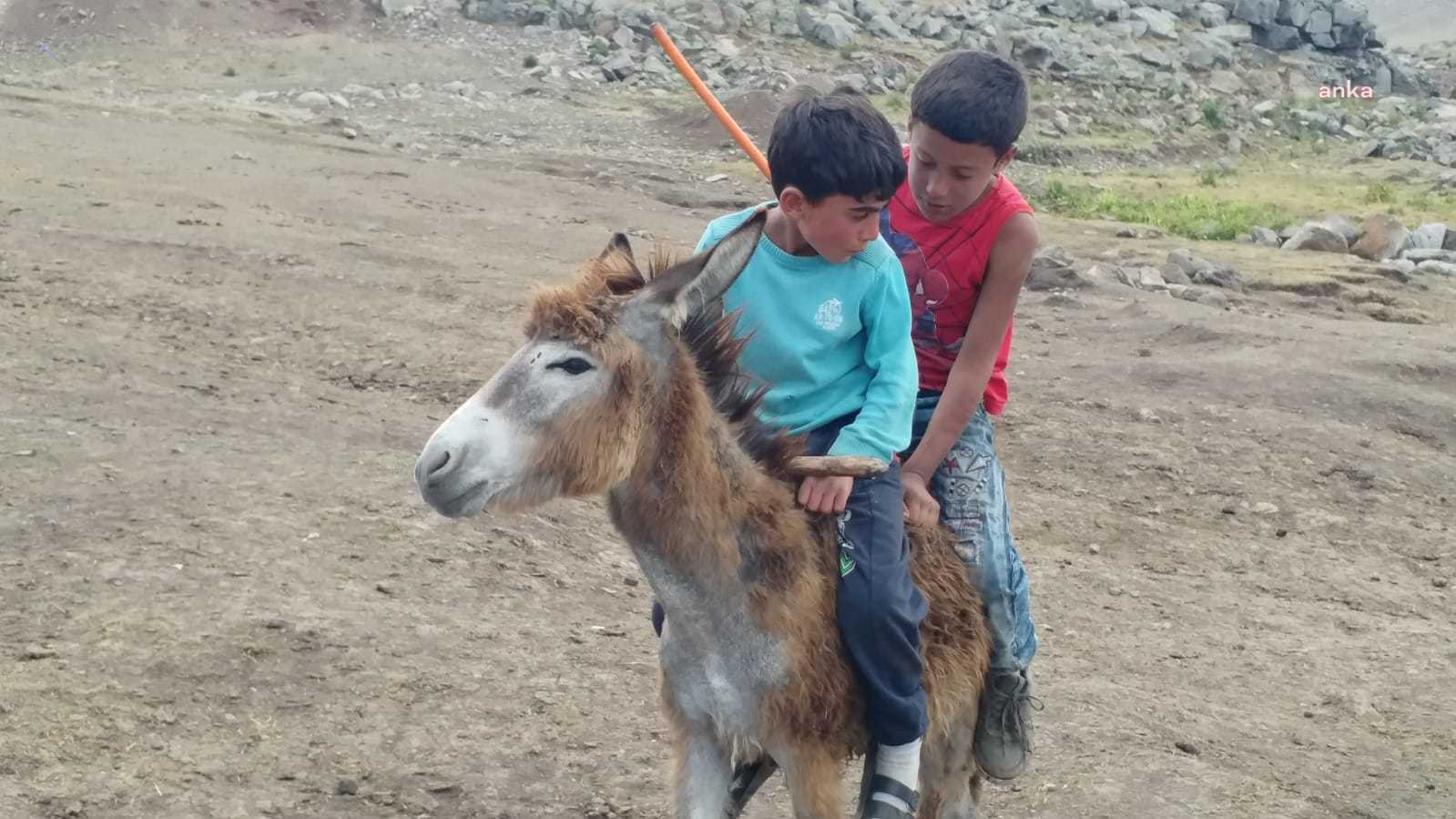 KARS’TA YAYLACILAR KURAKLIKTAN SONRA SEL VE SAĞANAK YAĞIŞ RİSKİ İLE KARŞI KARŞIYA