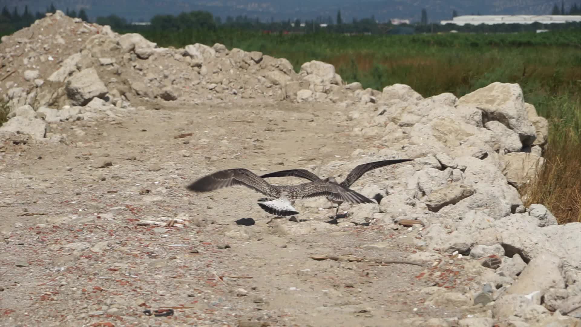 AKÇAY SAZLIĞI İÇİN AYAKLANAN EDREMİTLİ ÇEVRECİLER, İNŞAAT ŞİRKETİNİ VE GAYRİMENKUL ALMAK İSTEYENLERİ UYARDILAR