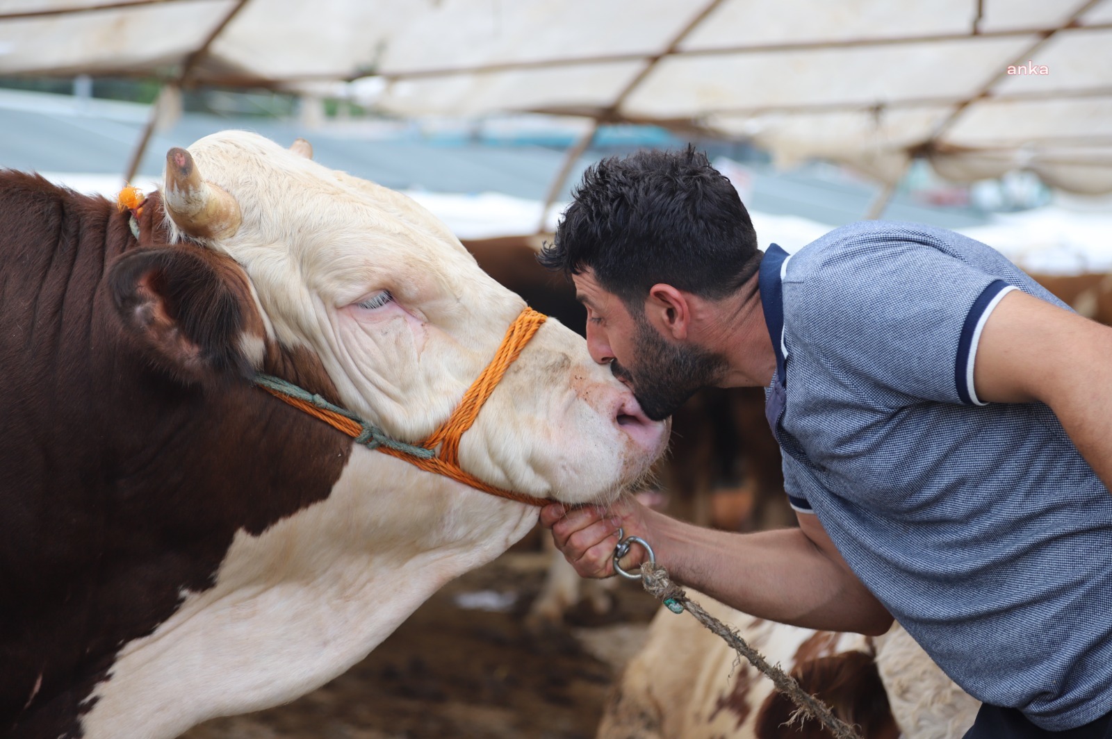 KARTAL BELEDİYESİ, KURBAN BAYRAMI HAZIRLIKLARINI TAMAMLADI