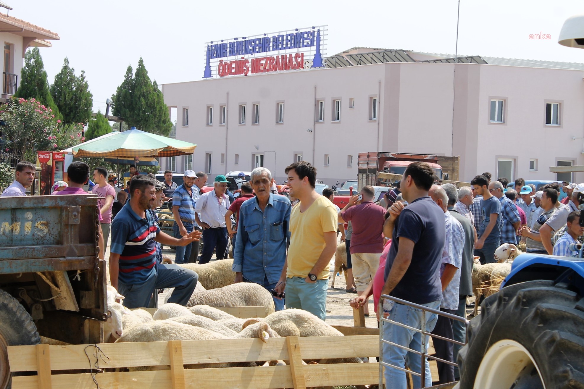 ÖDEMİŞ’TE KURBAN SATIŞ VE KURBAN KESİM YERLERİ BELLİ OLDU