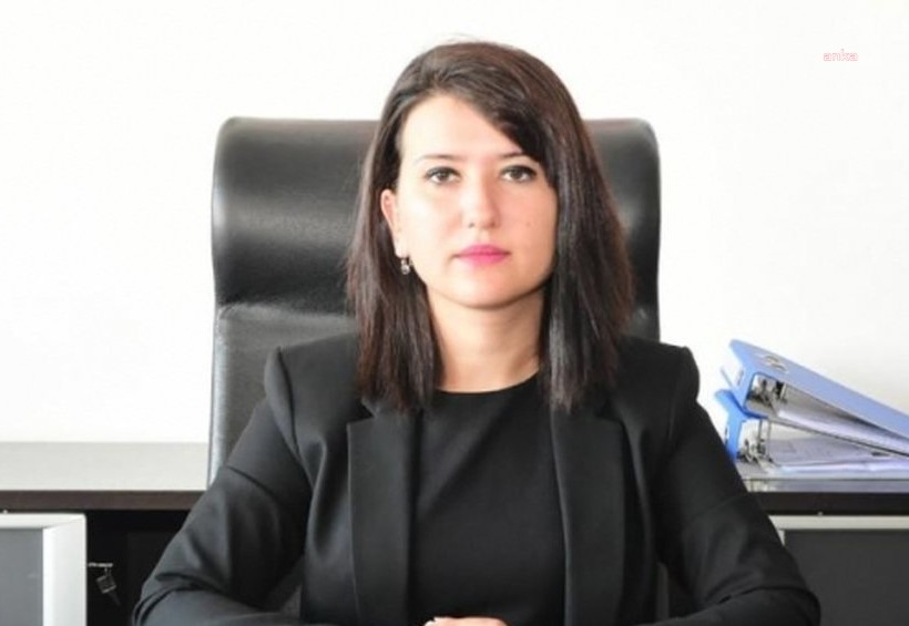 CHP'Lİ GÖKÇEN: "GENÇLERİN EN BÜYÜK HAYALİ AVRUPA'DA KURYE OLMAK"