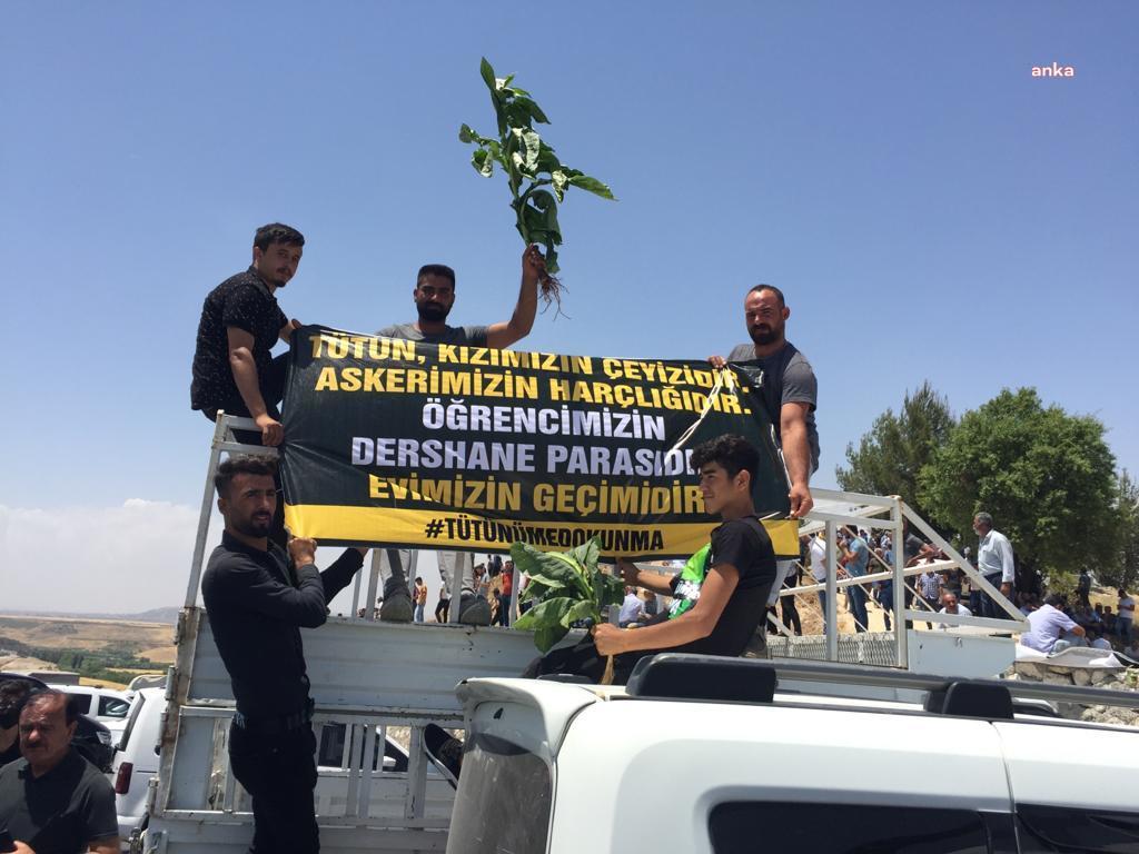 TUTUKLANAN TÜTÜNCÜLERDEN 2'Sİ SERBEST BIRAKILDI