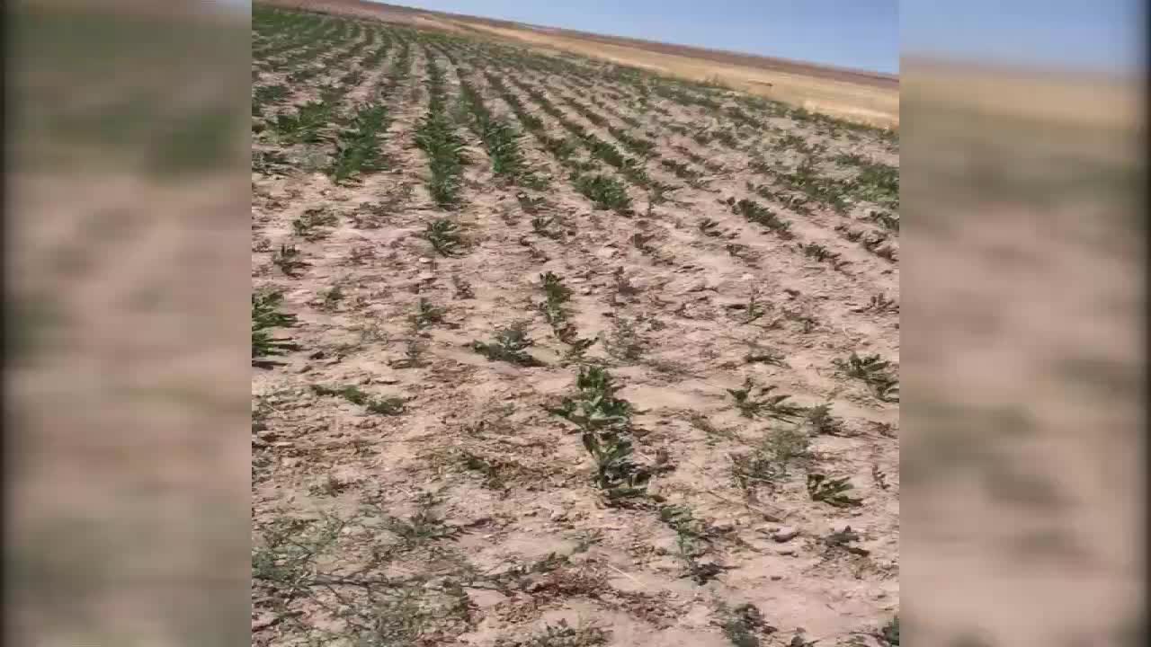 YOZGAT’DA ÇİFTİ PARASINI ÖDEDİĞİ SUYU ALAMIYOR