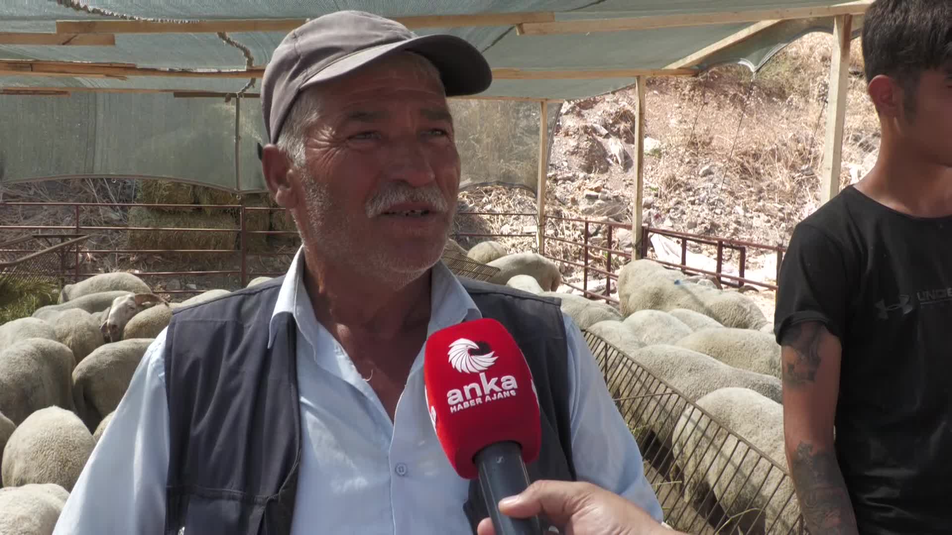 İZMİR'E KURBANLIK GETİREN BESİCİLER DERTLİ: "AKP GELDİ GELELİ ZARAR EDİYORUM"