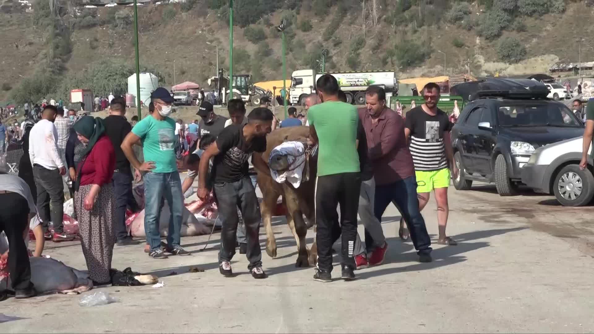ÇANKAYALILAR, KURBANLIKLAR İÇİN MÜHYE’Yİ TERCİH ETTİ