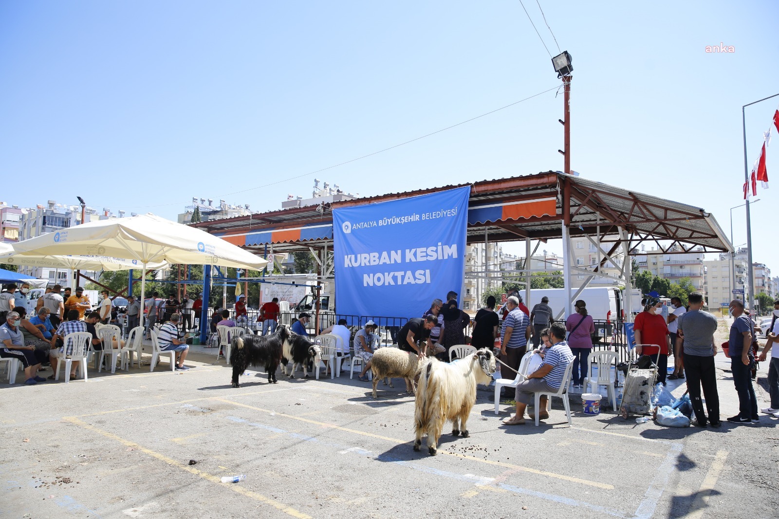 ANTALYA BÜYÜKŞEHİR BELEDİYESİ, 3 NOKTADA KURBAN KESİM HİZMETİ VERDİ