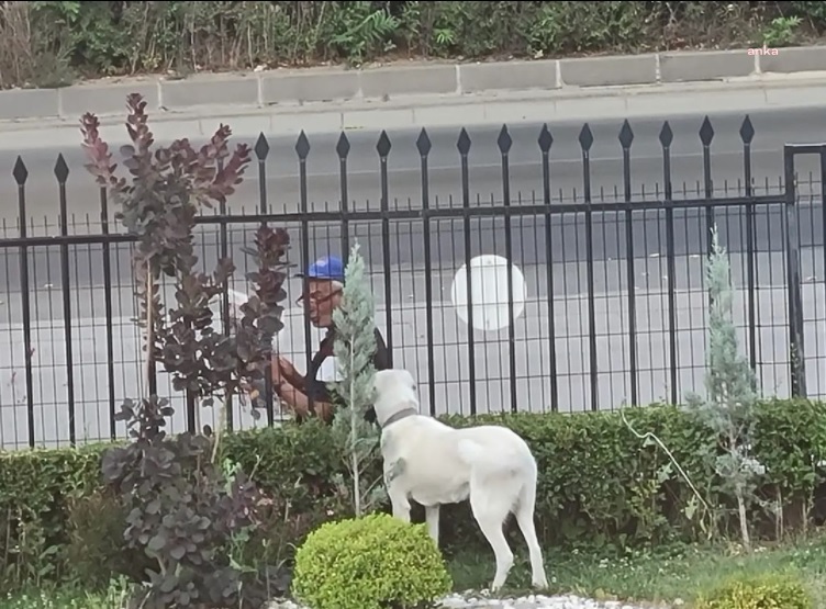 BAKANI SELÇUK, VATANDAŞIN KÖPEĞİ PERGEL’E GAZETE OKUDUĞU FOTOĞRAFI PAYLAŞTI