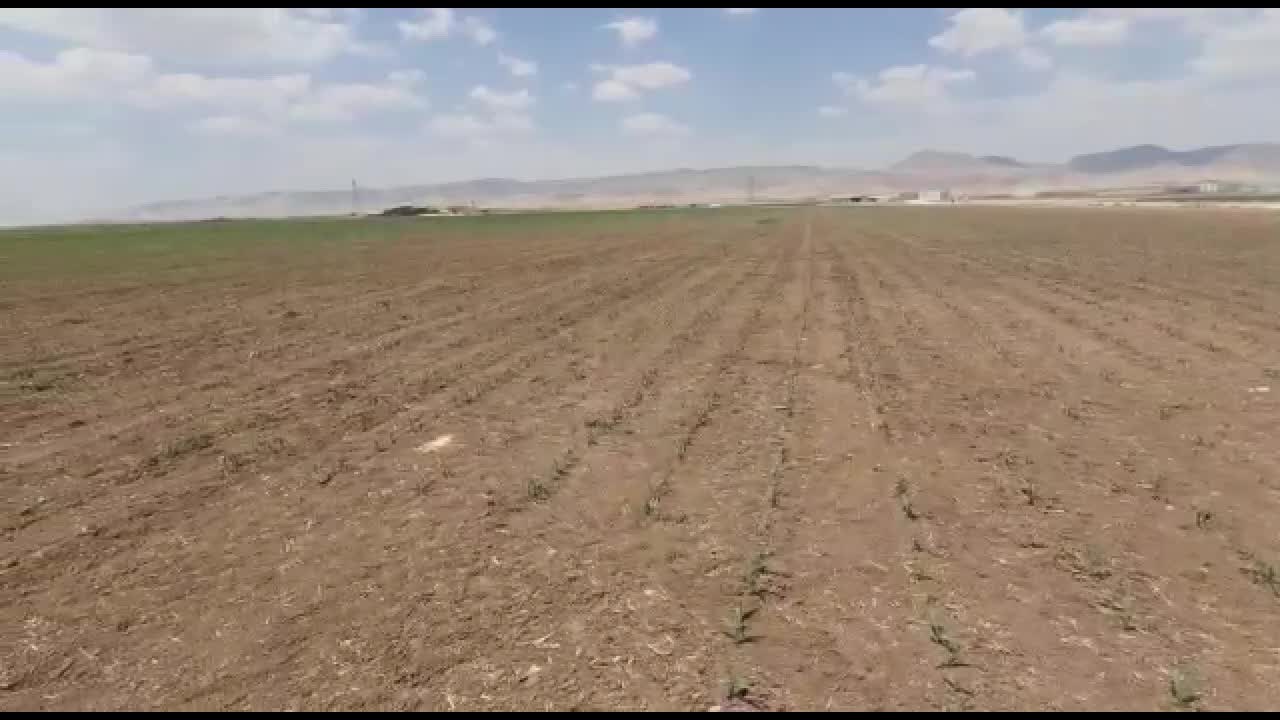 MARDİN'DE SUSUZLUK VE KURAKLIK: "FIRAT VE DİCLE’NİN ORTASINDA SU YOKSUNLUĞU ÇEKİYORUZ"