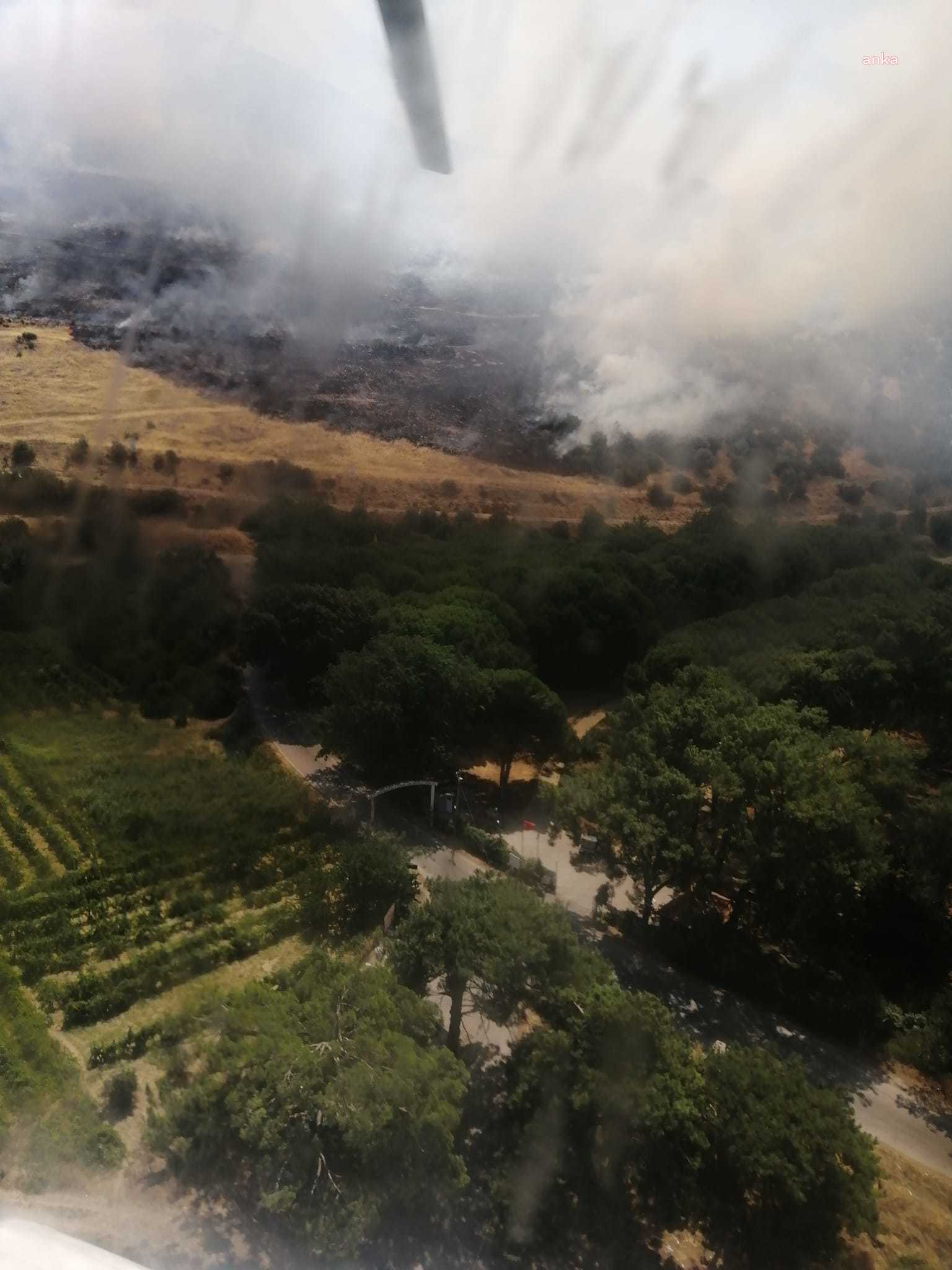 İZMİR'DE ZEYTİNLİK ALANDA YANGIN